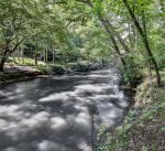 Mountain Creek Nestled Below Troutin` Along